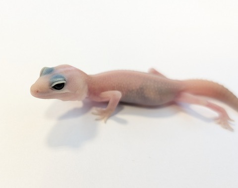 PXL_20250919_115649081~2