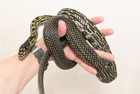 PXL_20251027_084343531~2