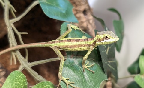 PXL_20260101_084159822~2