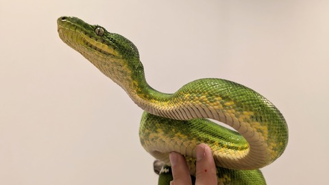 PXL_20250905_064158427~2