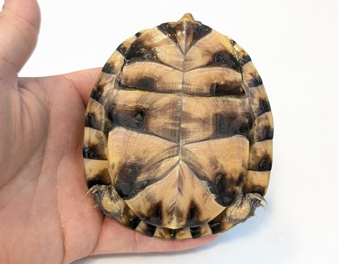 PXL_20251103_101714630~2