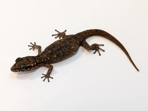 PXL_20250401_100854431~2