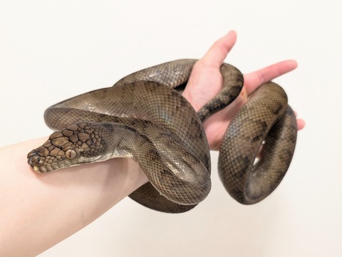 PXL_20250707_111354046~2