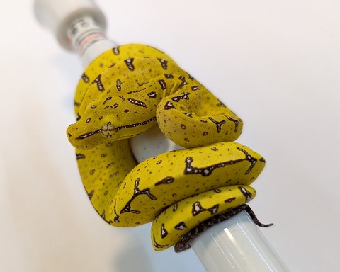 PXL_20251204_084054559~2