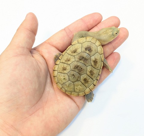 PXL_20250424_090111032~2