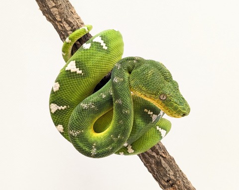 PXL_20250520_075039302~2