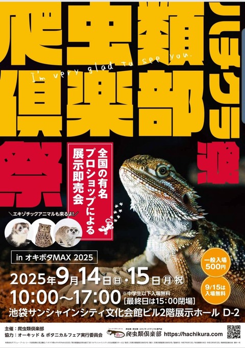 ハチクラ祭
