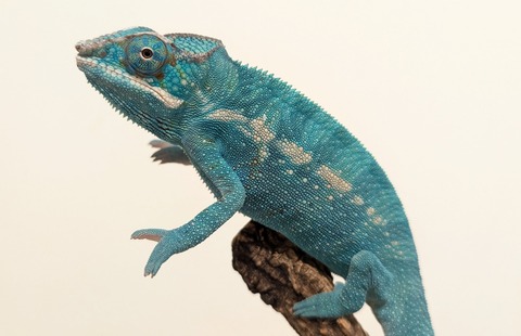 PXL_20251207_094910098~2