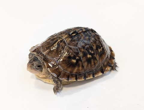 PXL_20251103_102751379~2