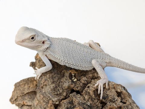 PXL_20250401_092854504