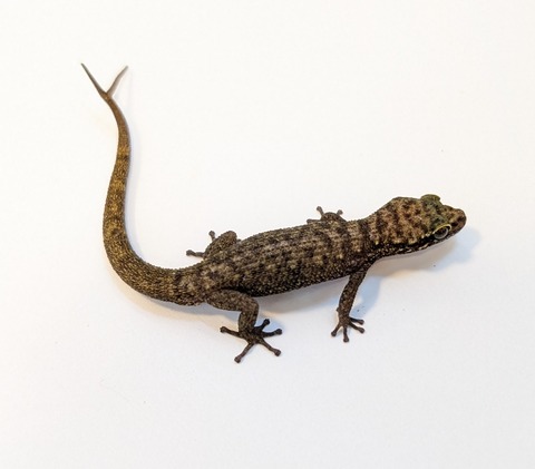 PXL_20250401_100613029~2