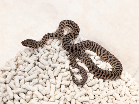 PXL_20250601_111201898~2