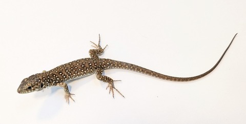 PXL_20250906_101110389~2