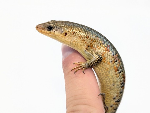 PXL_20251104_103927552~2