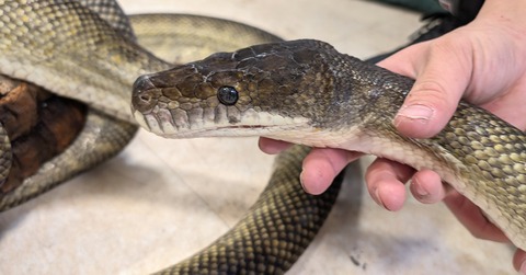 PXL_20260102_095710412~2