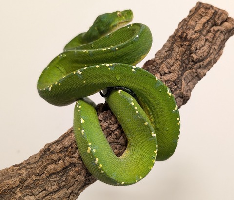 PXL_20251113_095718819~2