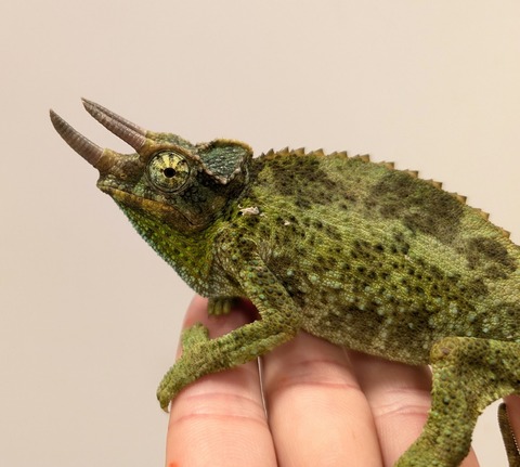 PXL_20250620_130738497~2