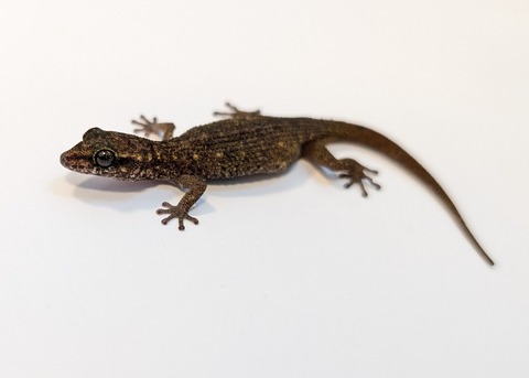 PXL_20250401_100836593~2