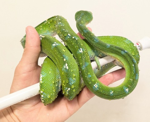 PXL_20251120_070942229~2