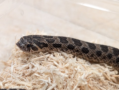 PXL_20250620_131442851~2