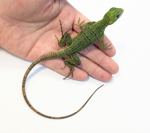 PXL_20250820_105737391~2