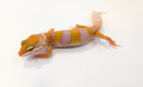 PXL_20251124_110834005