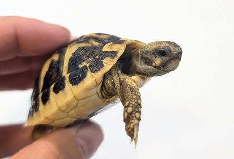 PXL_20251105_060559280~2