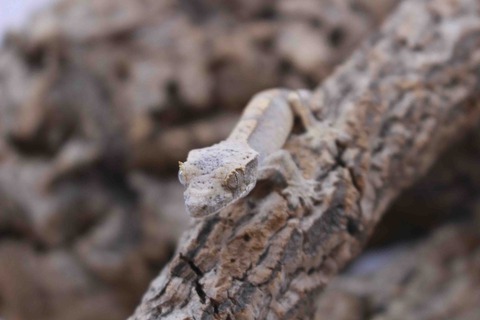 20220714-IMG_5984