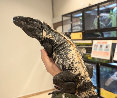 PXL_20260122_091435309~2