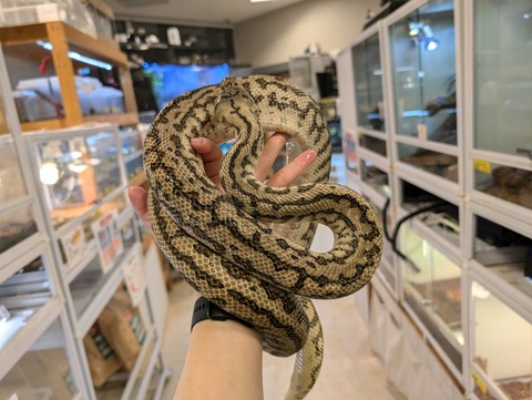 PXL_20250106_104104667~2