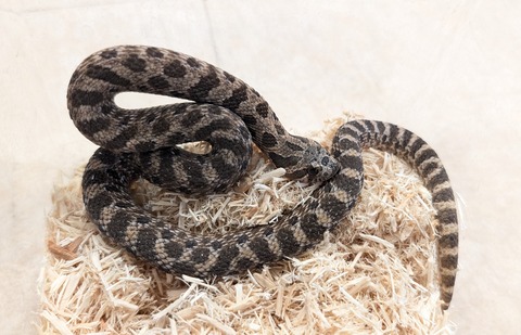 PXL_20260101_081620887~2