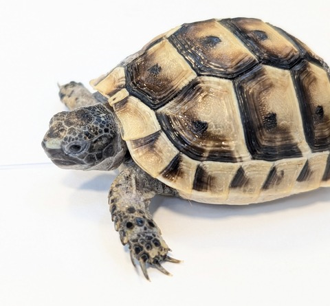 PXL_20250502_103436859~2