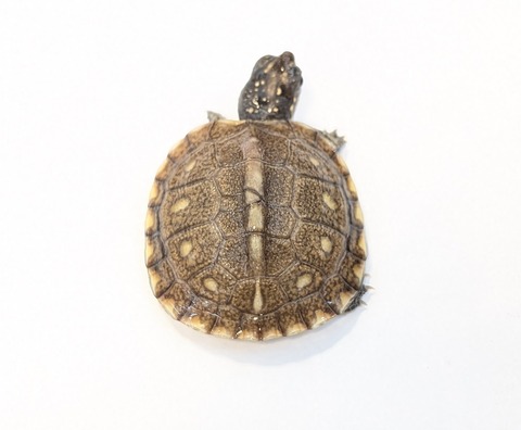 PXL_20251103_101408738~2