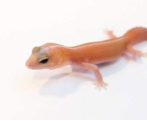 PXL_20250501_082524204~2