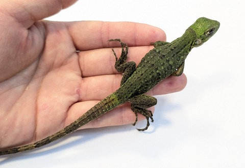 PXL_20250820_105917500~2