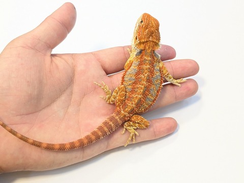 PXL_20250902_101813462~2