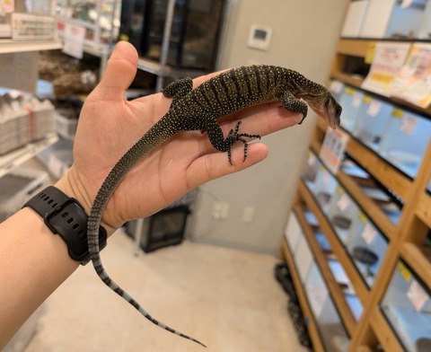 PXL_20241228_101519046~2