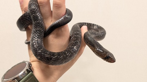 PXL_20250923_105349151~2