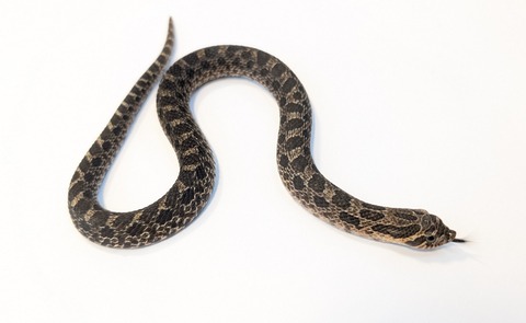 PXL_20250920_100647014~2