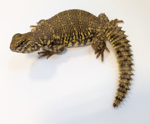 PXL_20250401_101655112~2