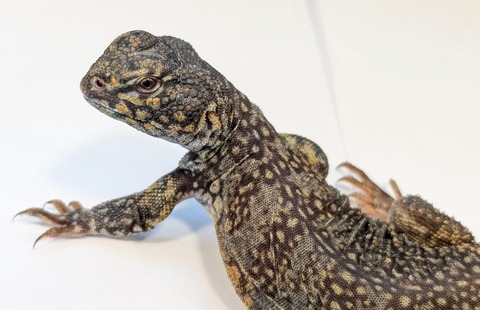 PXL_20251004_090435587~2