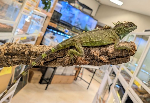 PXL_20251104_102331671~2