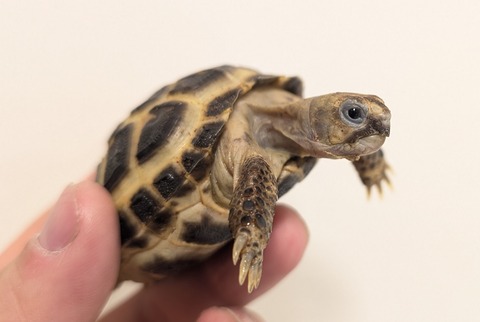 PXL_20260204_102144076~2