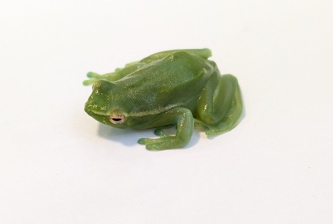 PXL_20250622_113255845~2