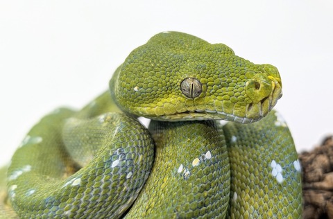 PXL_20251022_094034446~2