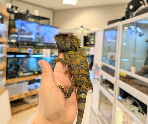 PXL_20250130_085756553~3