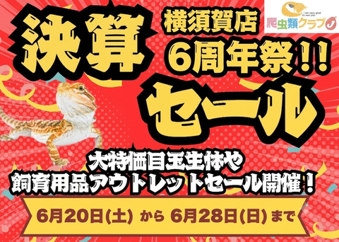 周年祭