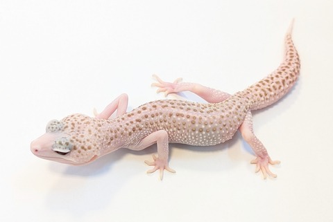 PXL_20250504_105639282~2