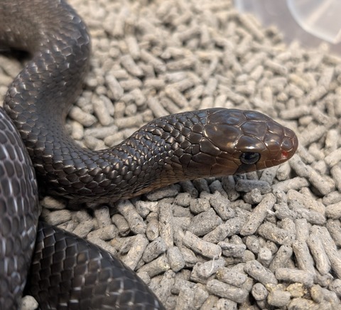 PXL_20250208_073955748~2