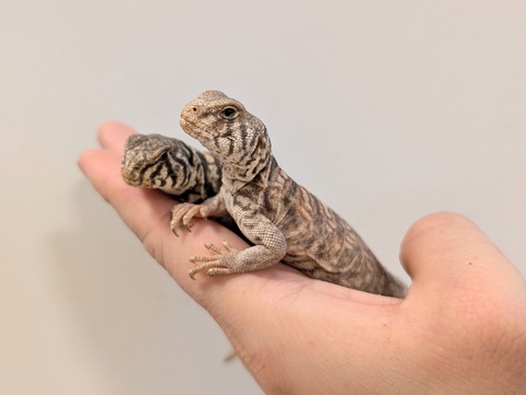 PXL_20241228_100859146~2